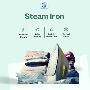 Steam Iron Services