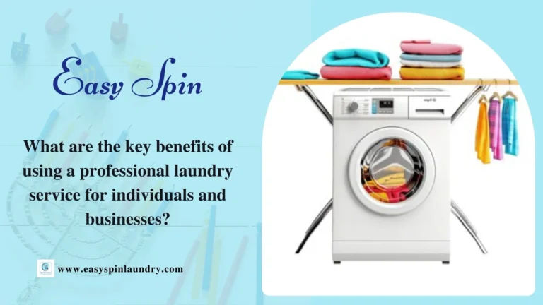 professional laundry service